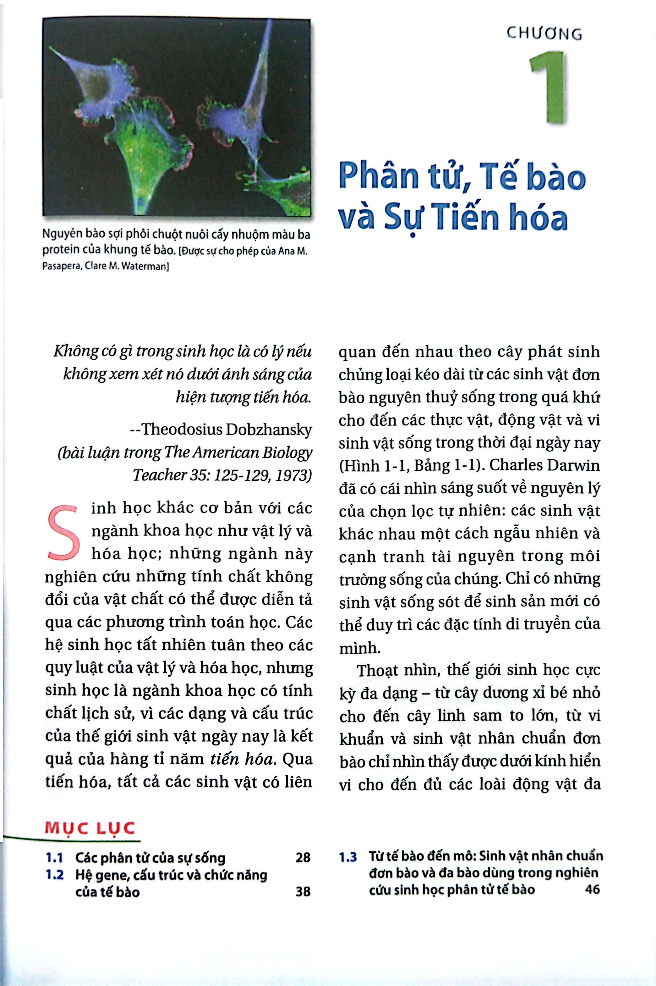 Bo
						
										
										Sinh Hoc Phan Tu Cua Te Bao - Tap 1 - Co So Hoa Hoc Va Phan Tu (Tai Ban 2024)