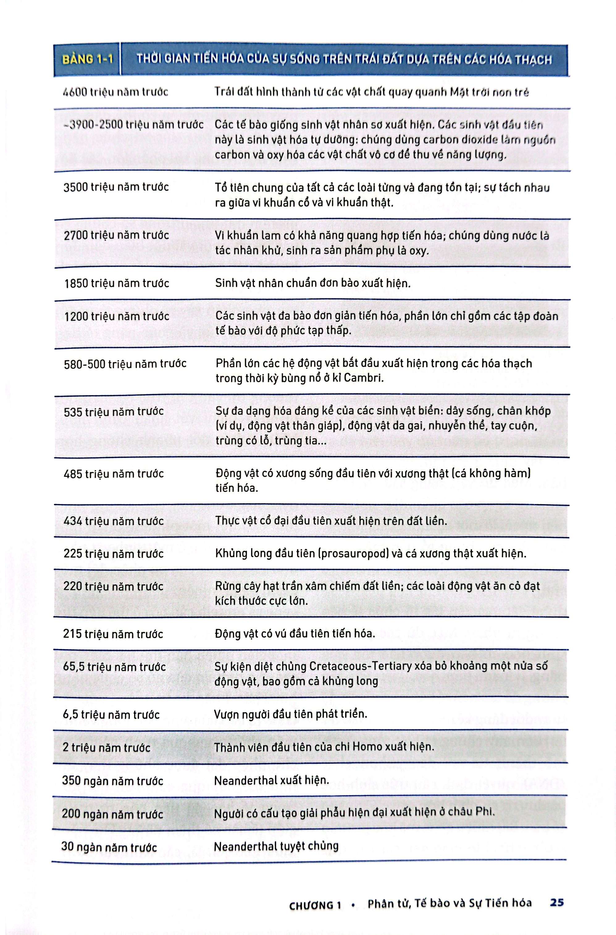 Bo
						
										
										Sinh Hoc Phan Tu Cua Te Bao - Tap 1 - Co So Hoa Hoc Va Phan Tu (Tai Ban 2024)