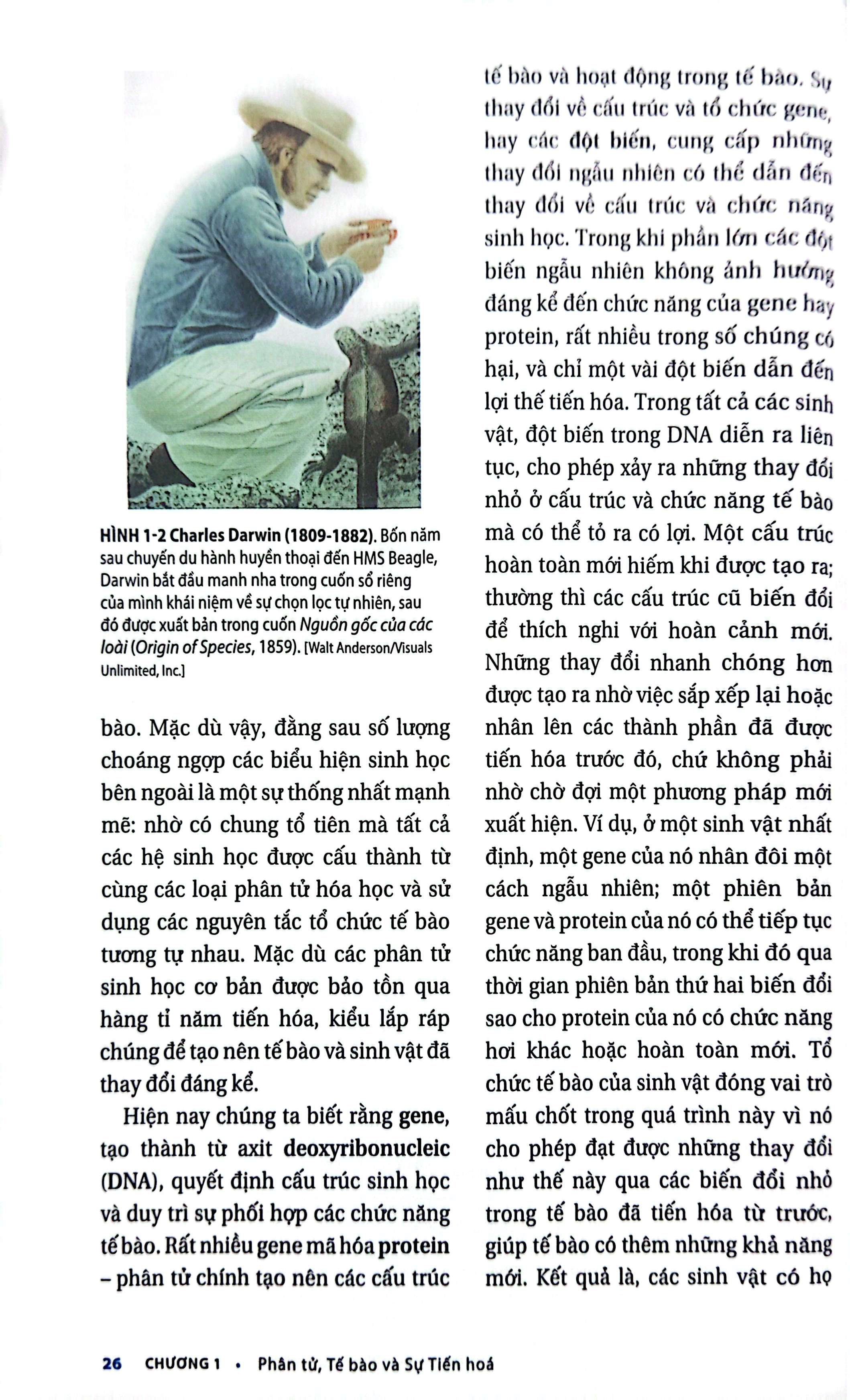 Bo
						
										
										Sinh Hoc Phan Tu Cua Te Bao - Tap 1 - Co So Hoa Hoc Va Phan Tu (Tai Ban 2024)