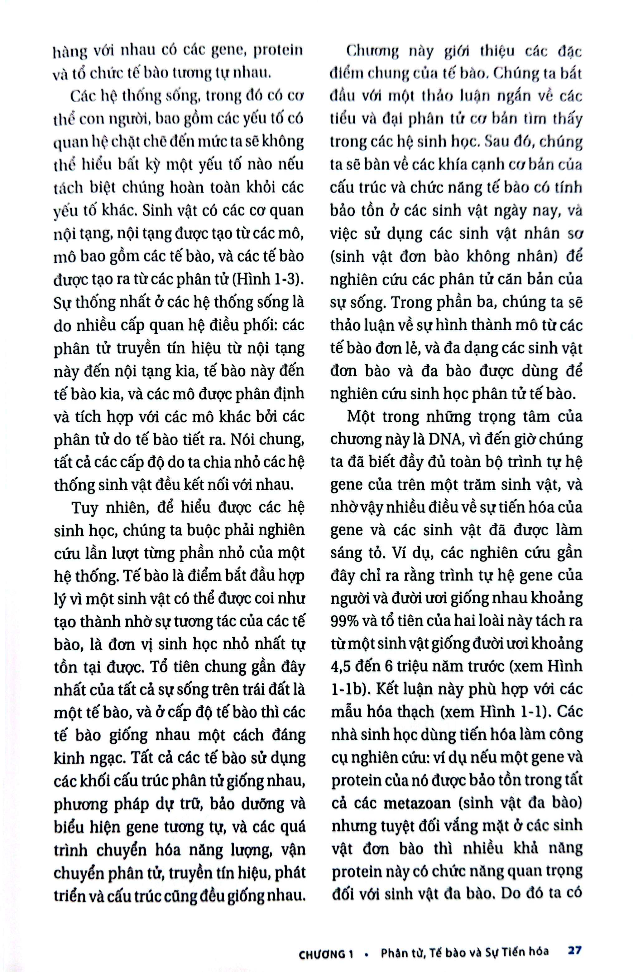 Bo
						
										
										Sinh Hoc Phan Tu Cua Te Bao - Tap 1 - Co So Hoa Hoc Va Phan Tu (Tai Ban 2024)