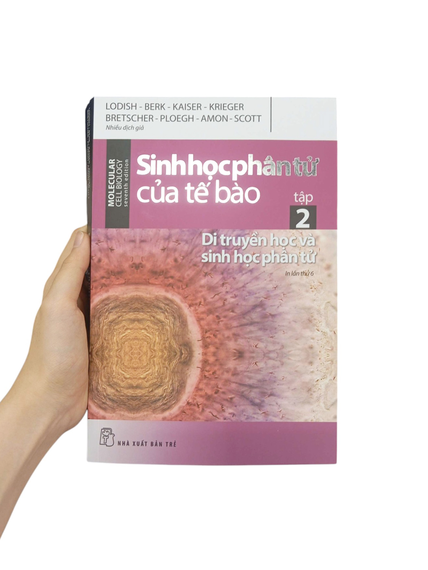 Bộ Sinh Học Phân Tử Của Tế Bào - Tập 2 - Di Truyền Học Và Sinh Học Phân Tử (Tái Bản 2024)