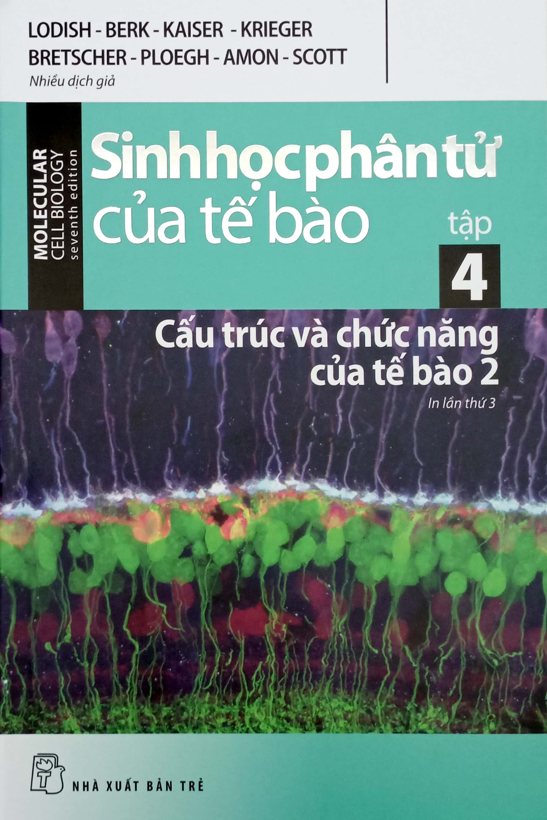 Bộ Sinh Học Phân Tử Của Tế Bào - Tập 4 - Cấu Trúc Và Chức Năng Của Tế Bào 2 (Tái Bản 2024)