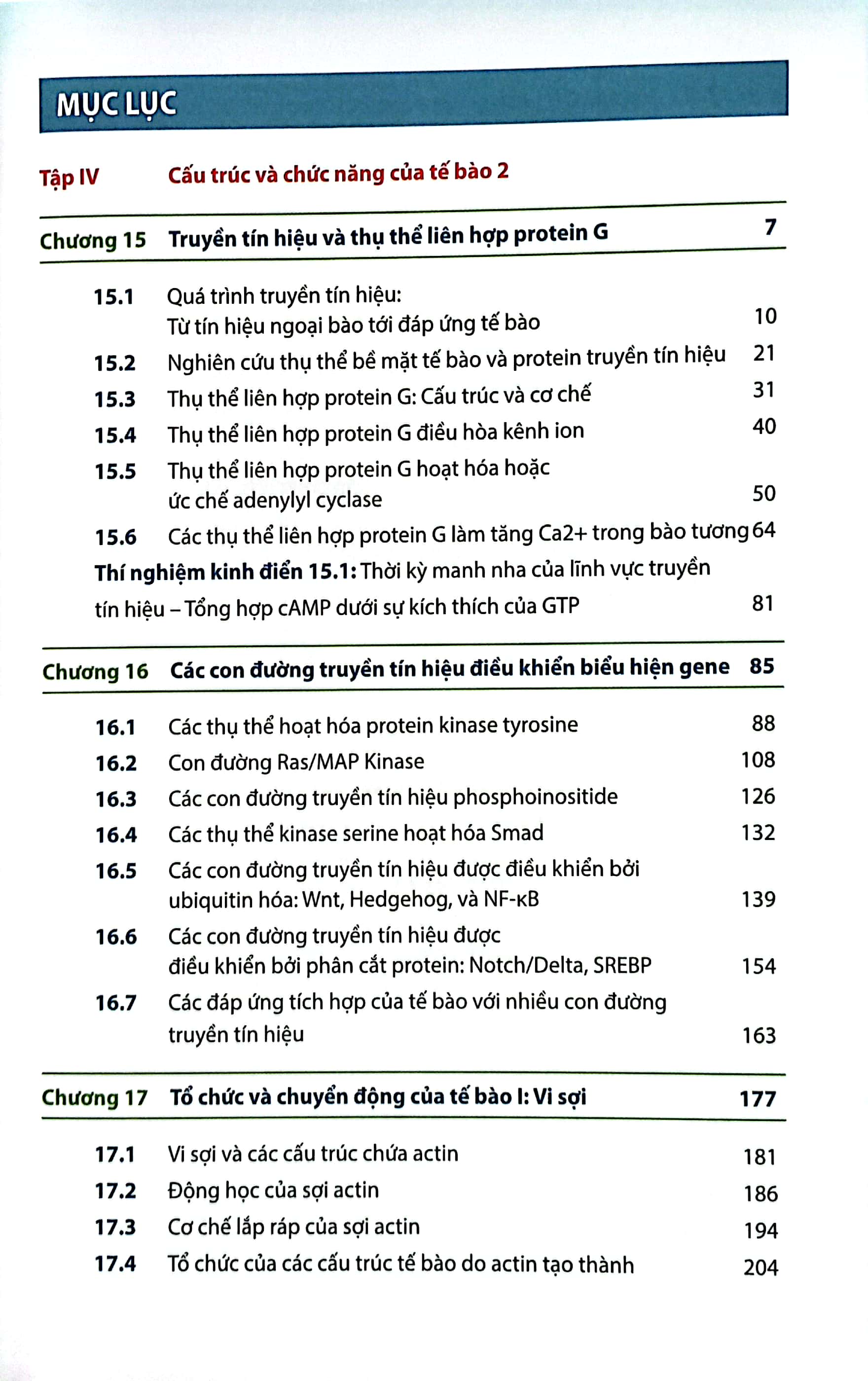Bộ Sinh Học Phân Tử Của Tế Bào - Tập 4 - Cấu Trúc Và Chức Năng Của Tế Bào 2 (Tái Bản 2024)