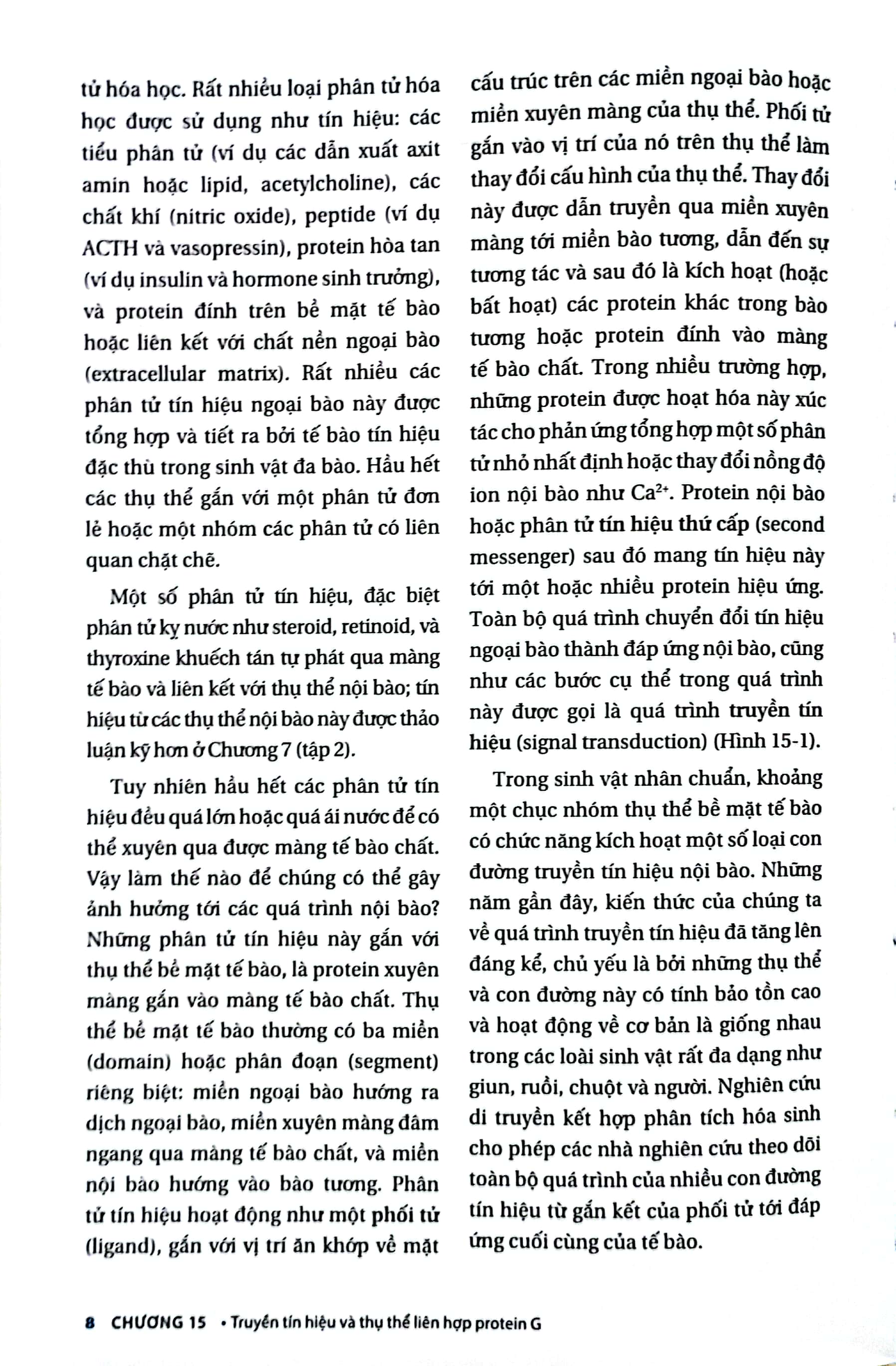 Bộ Sinh Học Phân Tử Của Tế Bào - Tập 4 - Cấu Trúc Và Chức Năng Của Tế Bào 2 (Tái Bản 2024)
