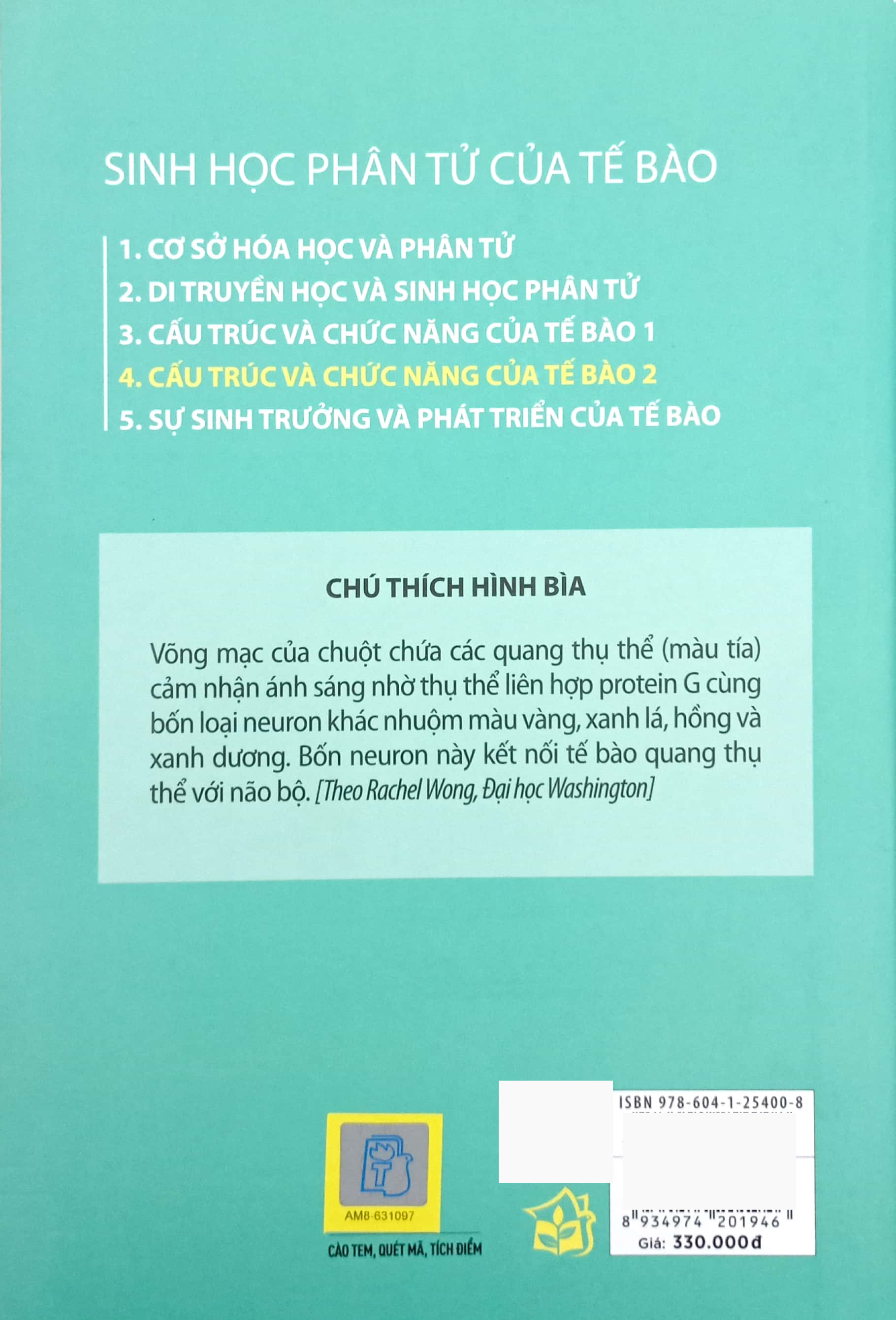 Bộ Sinh Học Phân Tử Của Tế Bào - Tập 4 - Cấu Trúc Và Chức Năng Của Tế Bào 2 (Tái Bản 2024)