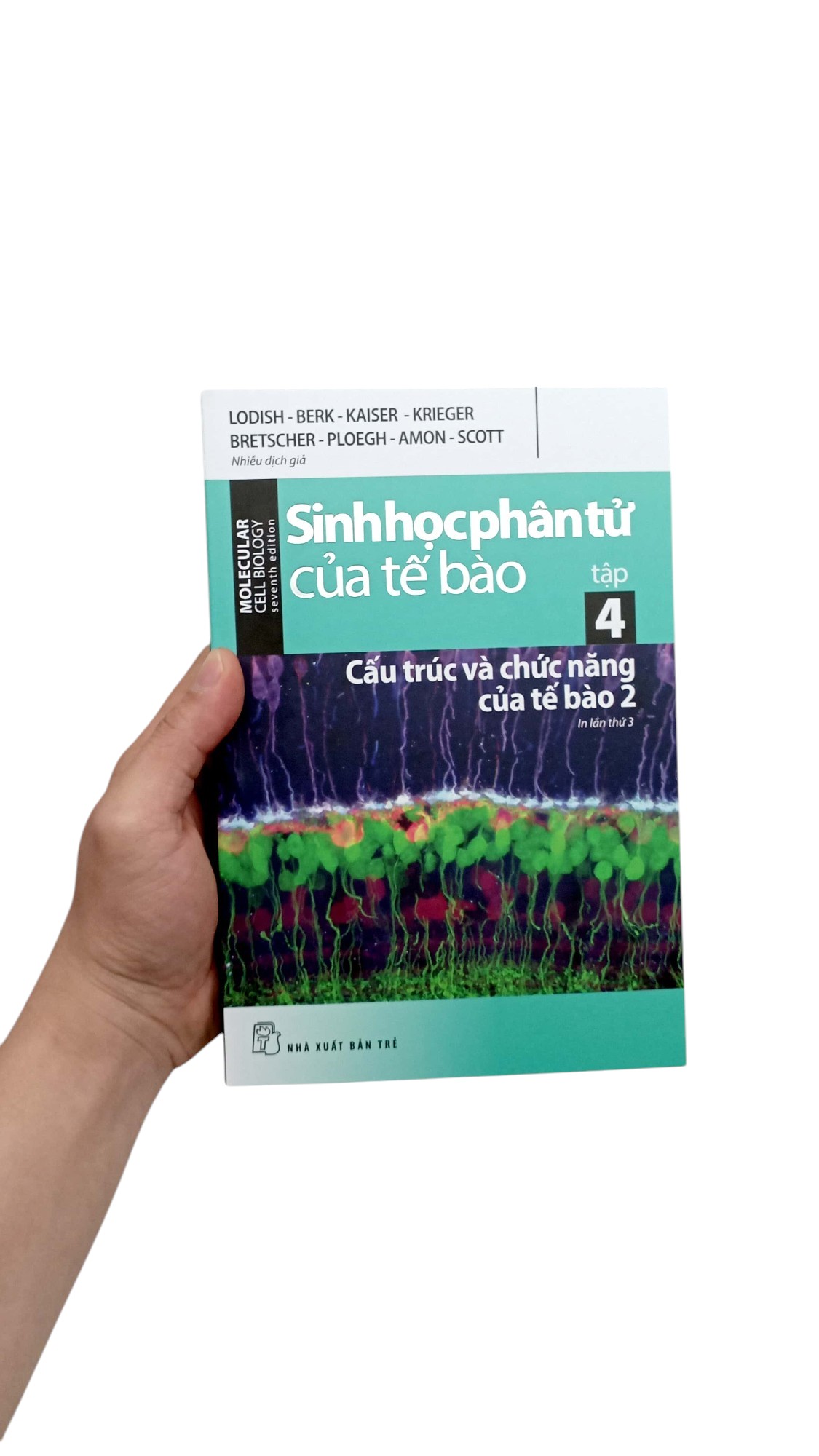 Bộ Sinh Học Phân Tử Của Tế Bào - Tập 4 - Cấu Trúc Và Chức Năng Của Tế Bào 2 (Tái Bản 2024)