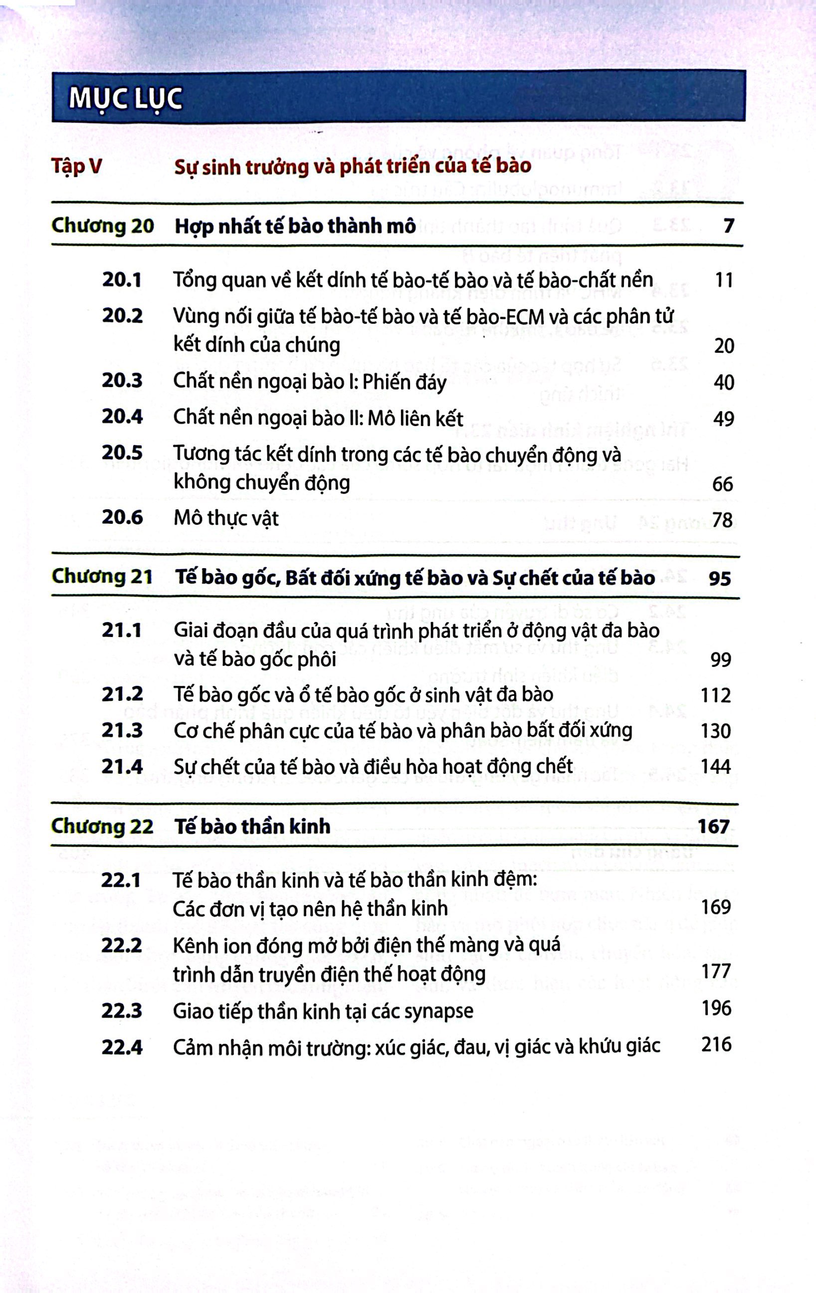Bo
						
										
										Sinh Hoc Phan Tu Cua Te Bao - Tap 5 - Su Sinh Truong & Phat Trien Cua Te Bao (Tai Ban 2024)