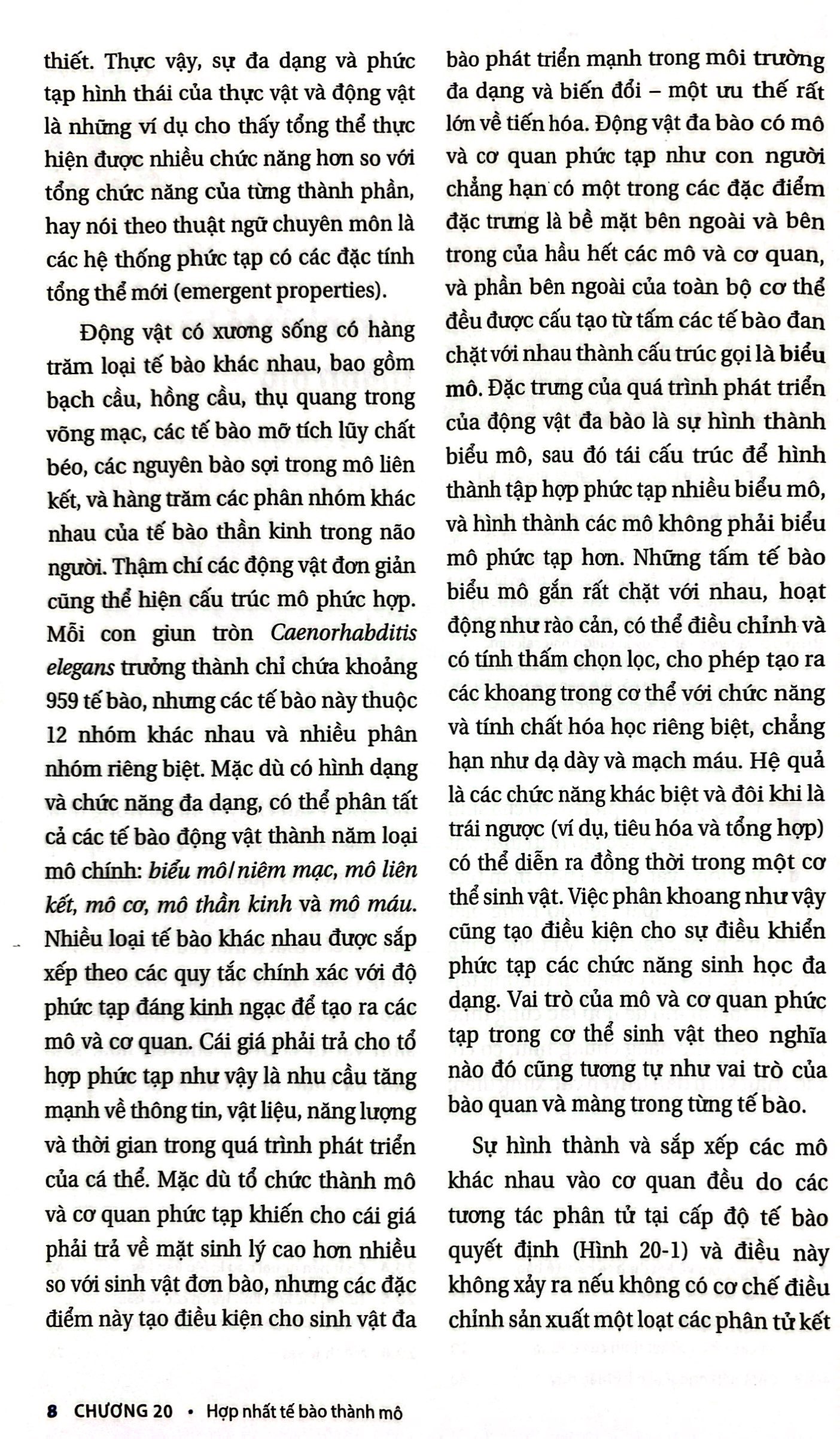 Bo
						
										
										Sinh Hoc Phan Tu Cua Te Bao - Tap 5 - Su Sinh Truong & Phat Trien Cua Te Bao (Tai Ban 2024)