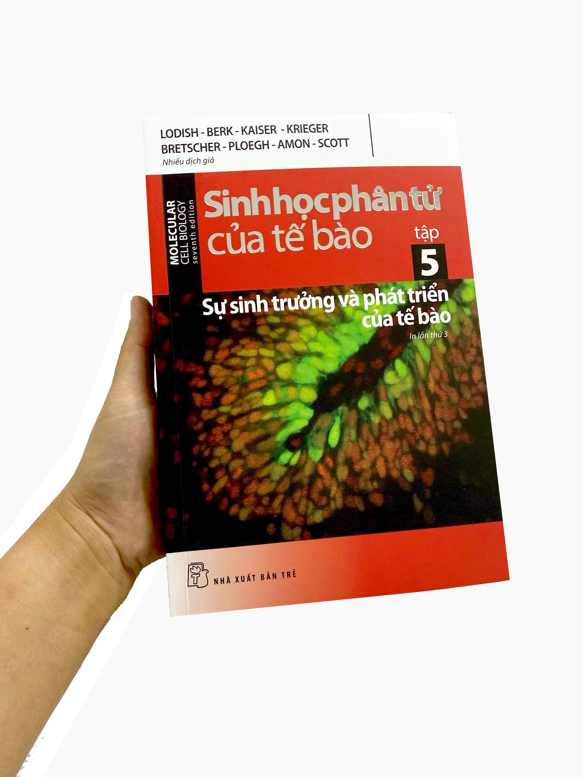 Bo
						
										
										Sinh Hoc Phan Tu Cua Te Bao - Tap 5 - Su Sinh Truong & Phat Trien Cua Te Bao (Tai Ban 2024)