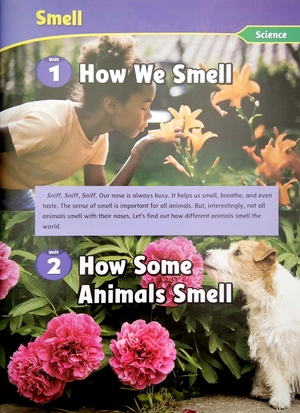 bộ smart reading 6-1 (180 words)