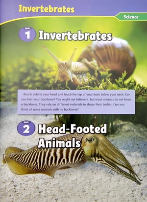 bộ smart reading 6-3 (220 words)