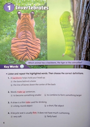 bộ smart reading 6-3 (220 words)