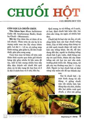 bộ sổ tay y học - những bài thuốc hay 39