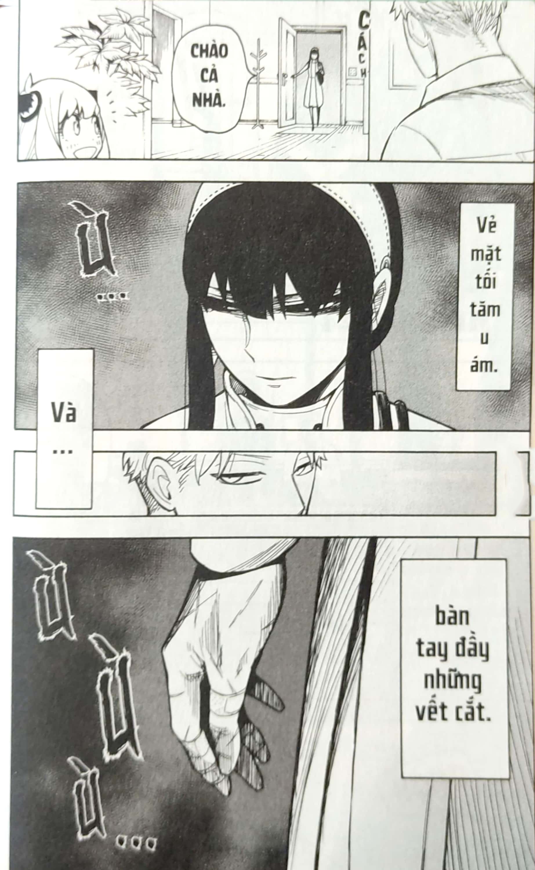 Bo
						
										
										Spy X Family - Tap 5 (Tai Ban 2025)