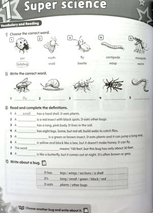 bộ starlight: level 5: workbook