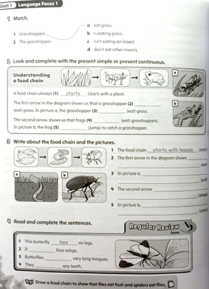 bộ starlight: level 5: workbook