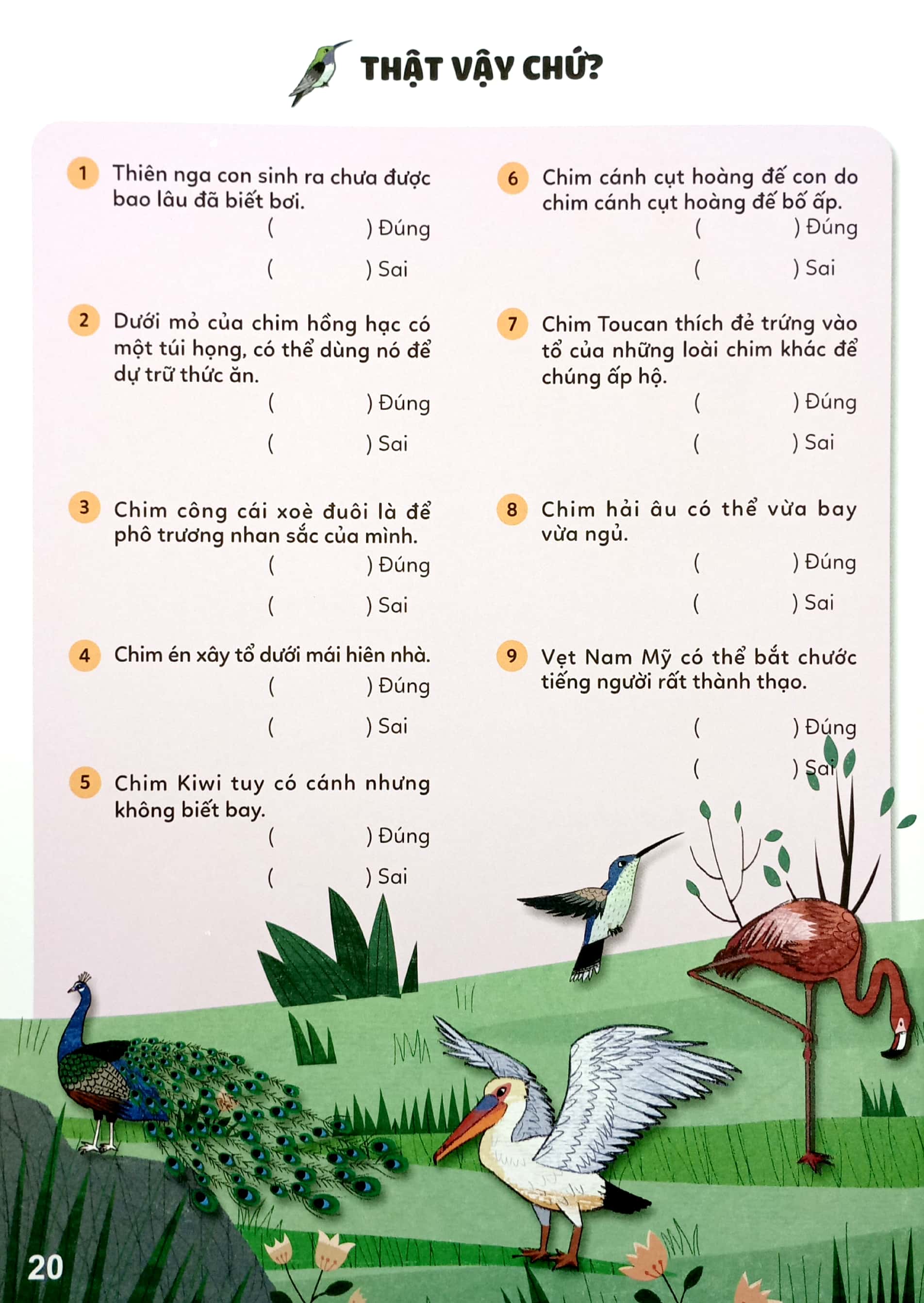 bộ sticker bước vào thế giới thiên nhiên kỳ thú - tập 2 - muôn vàn các loài chim