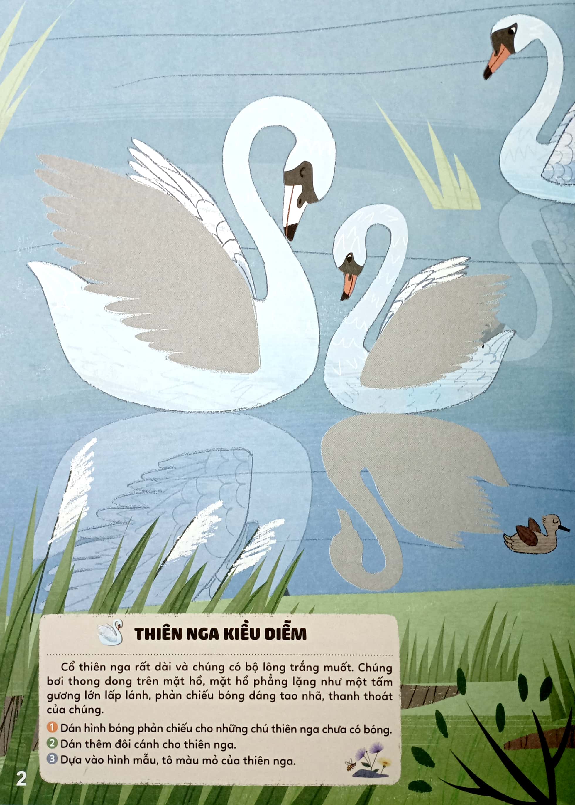 bộ sticker bước vào thế giới thiên nhiên kỳ thú - tập 2 - muôn vàn các loài chim