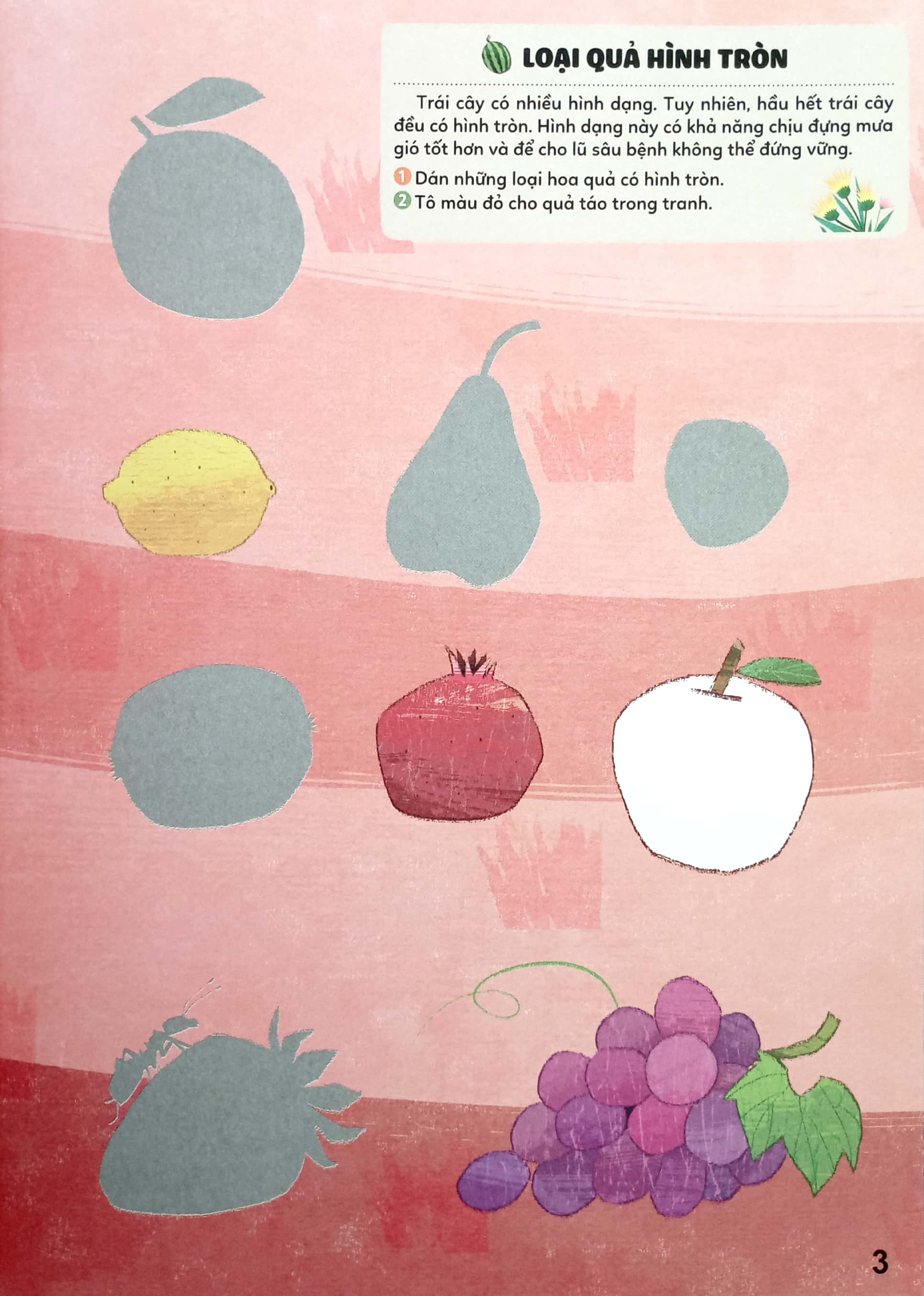 bộ sticker bước vào thế giới thiên nhiên kỳ thú - tập 2 - trái cây và rau củ