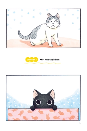 bộ sue & tai-chan 1