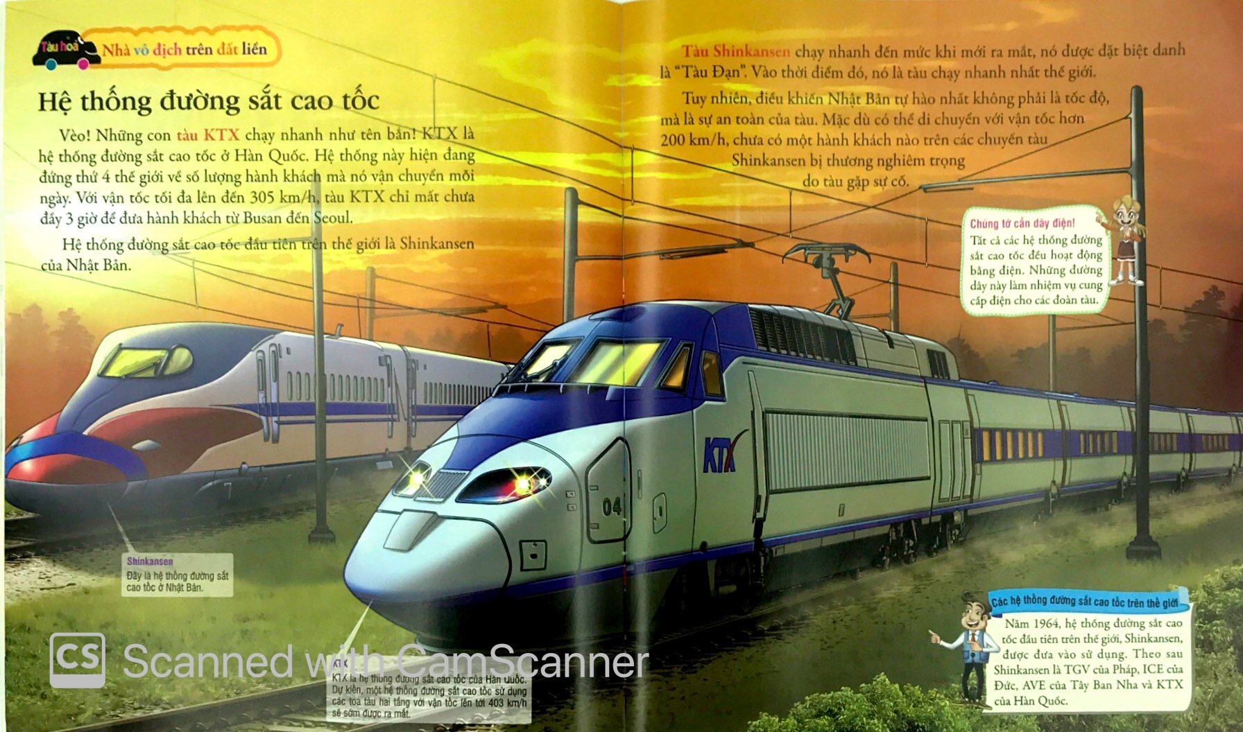 bộ sưu tập phương tiện giao thông kì thú - tàu hỏa và xe buýt trên khắp thế giới