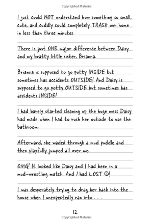 bộ tales from a not-so-secret crush catastrophe