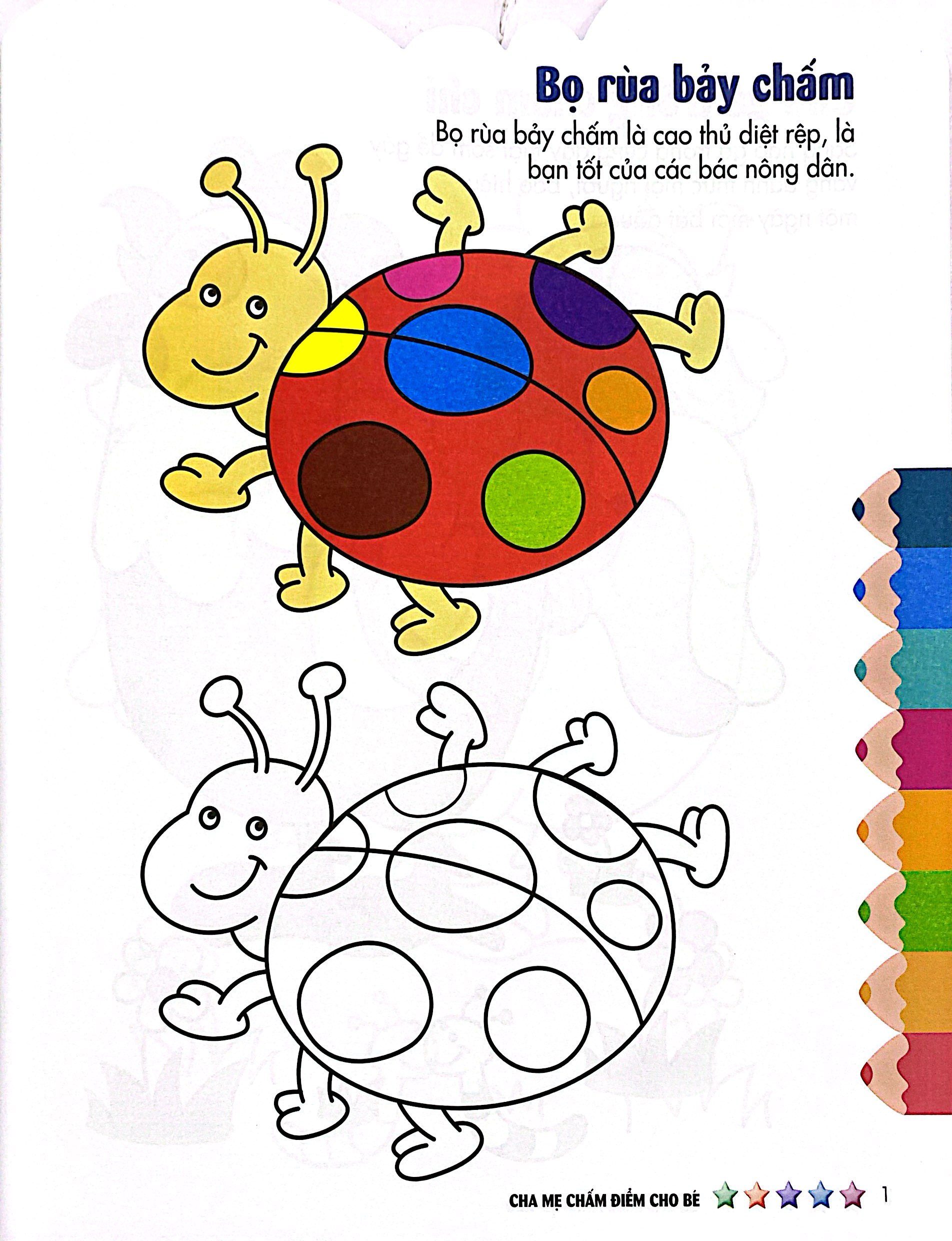 Bo
						
										
										Tap Sach To Mau Dau Tien Cua Be - Cuoc Song Muon Mau - To Mau Va Dan Hinh - Tap 5