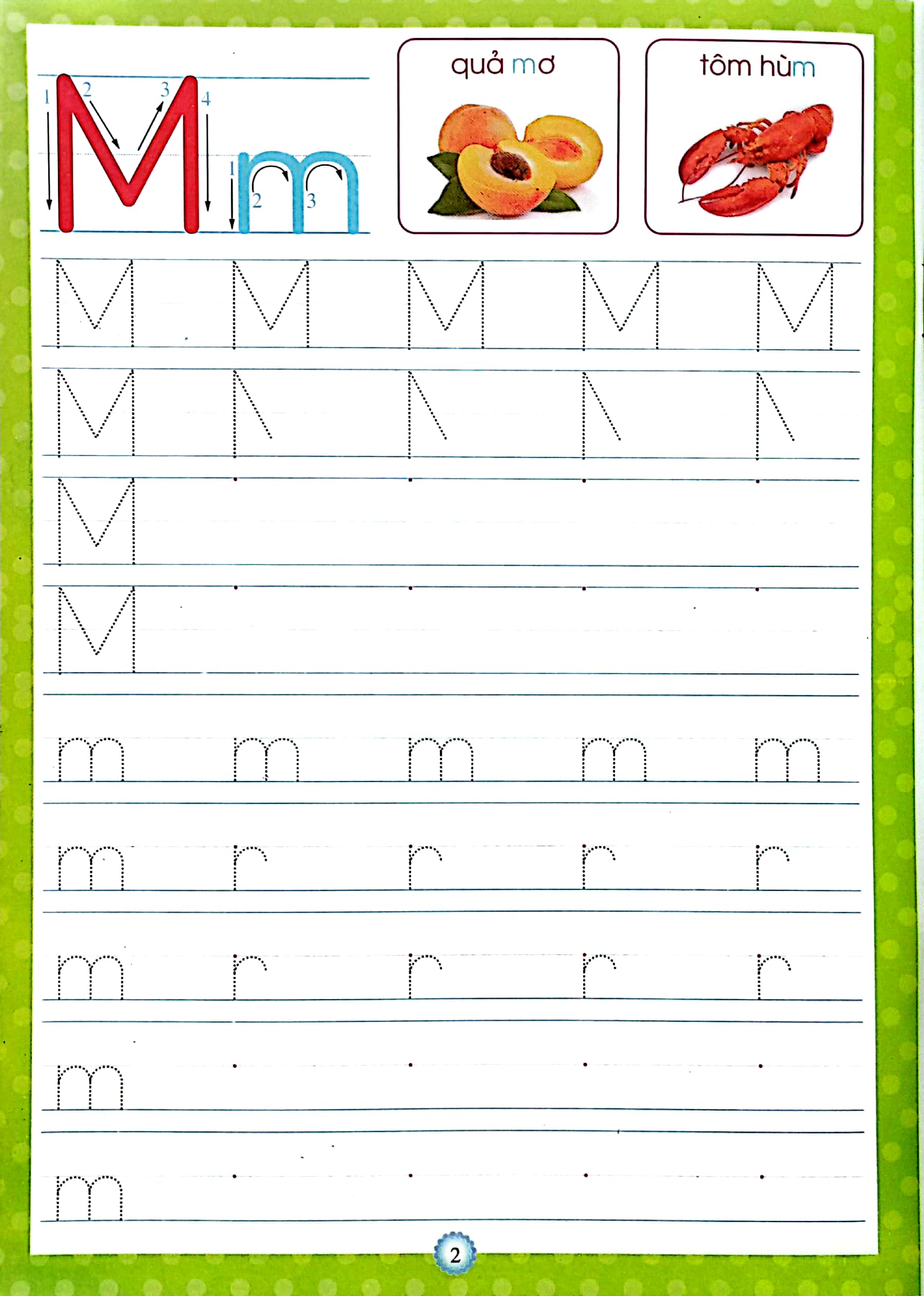 bộ tập viết chữ cái có mẫu chữ - quyển 2 (dành cho bé 4-6 tuổi)