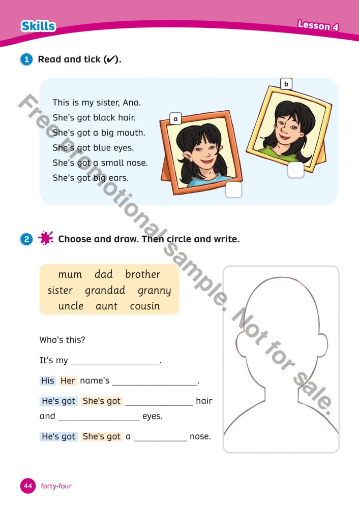 bộ team together activity book level 1