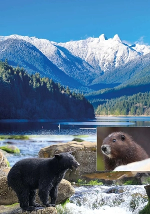 bộ teen eli readers real lives - allan: my vancouver - stage 3 b1 - downloadable audio files