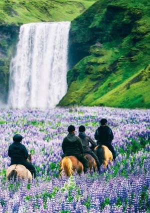 bộ teen eli readers real lives - garpur: my iceland - stage 2 a2 - downloadable audio files