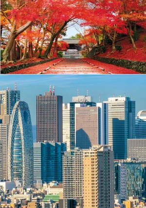 bộ teen eli readers real lives - naoko, my japan - stage 2 a2 - downloadable audio files