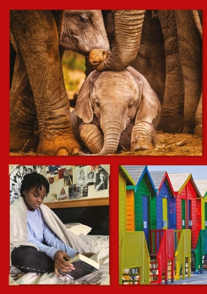 bộ teen eli readers real lives - riri: my south africa - stage 2 a2 - downloadable audio files