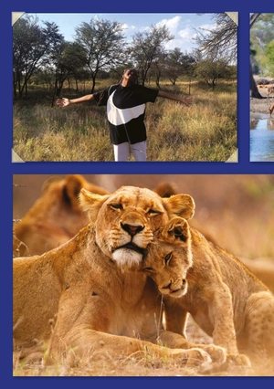 bộ teen eli readers real lives - riri: my south africa - stage 2 a2 - downloadable audio files