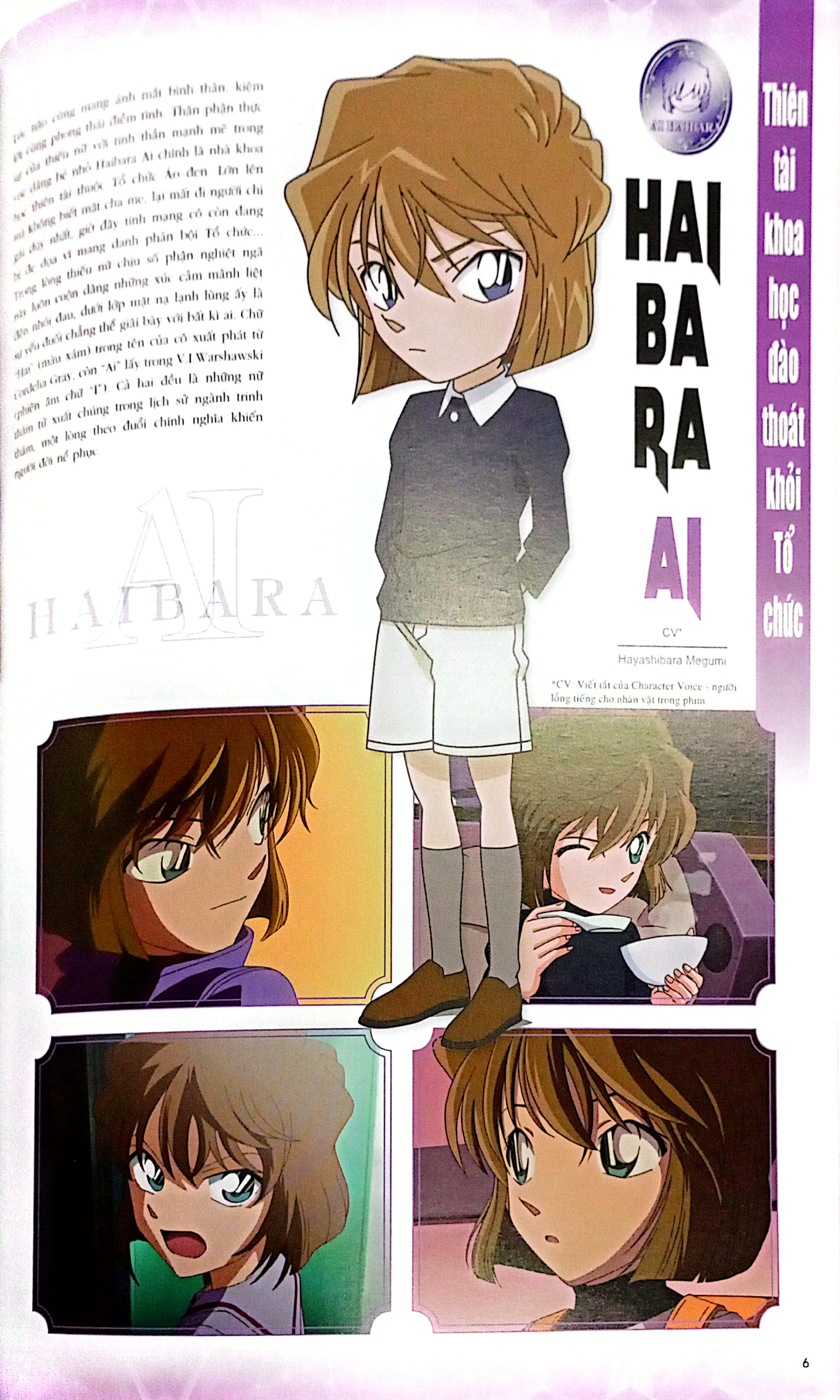 bộ thám tử lừng danh conan - hồ sơ tuyệt mật - ai haibara