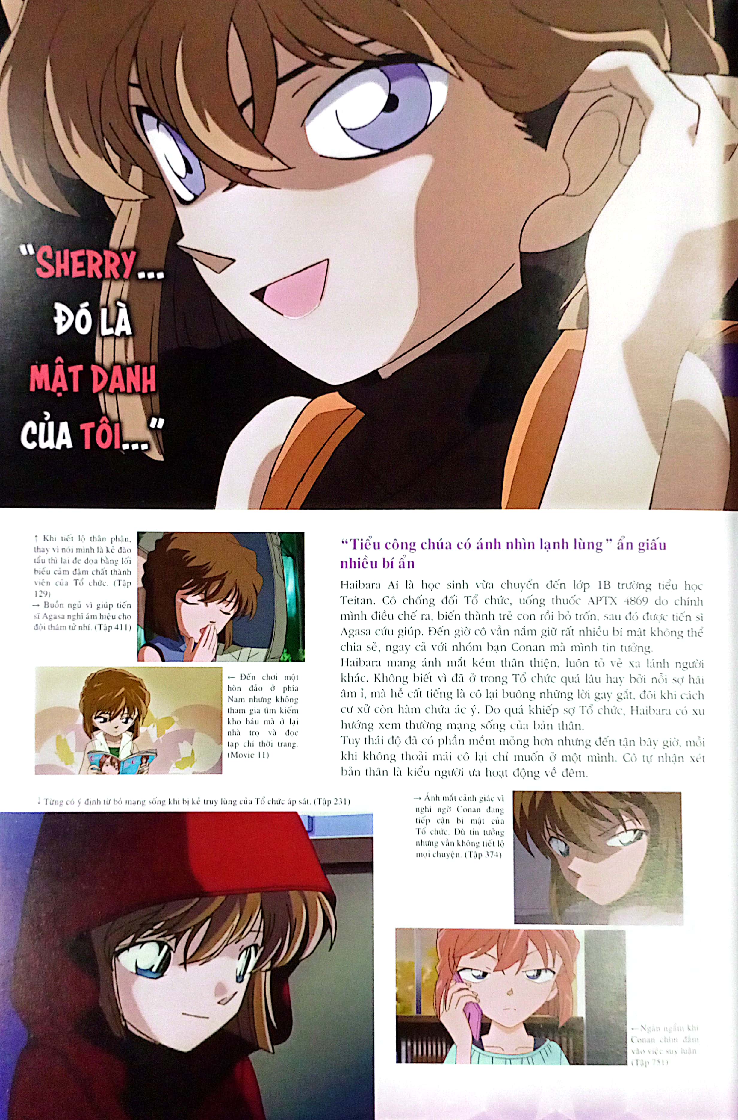 bộ thám tử lừng danh conan - hồ sơ tuyệt mật - ai haibara