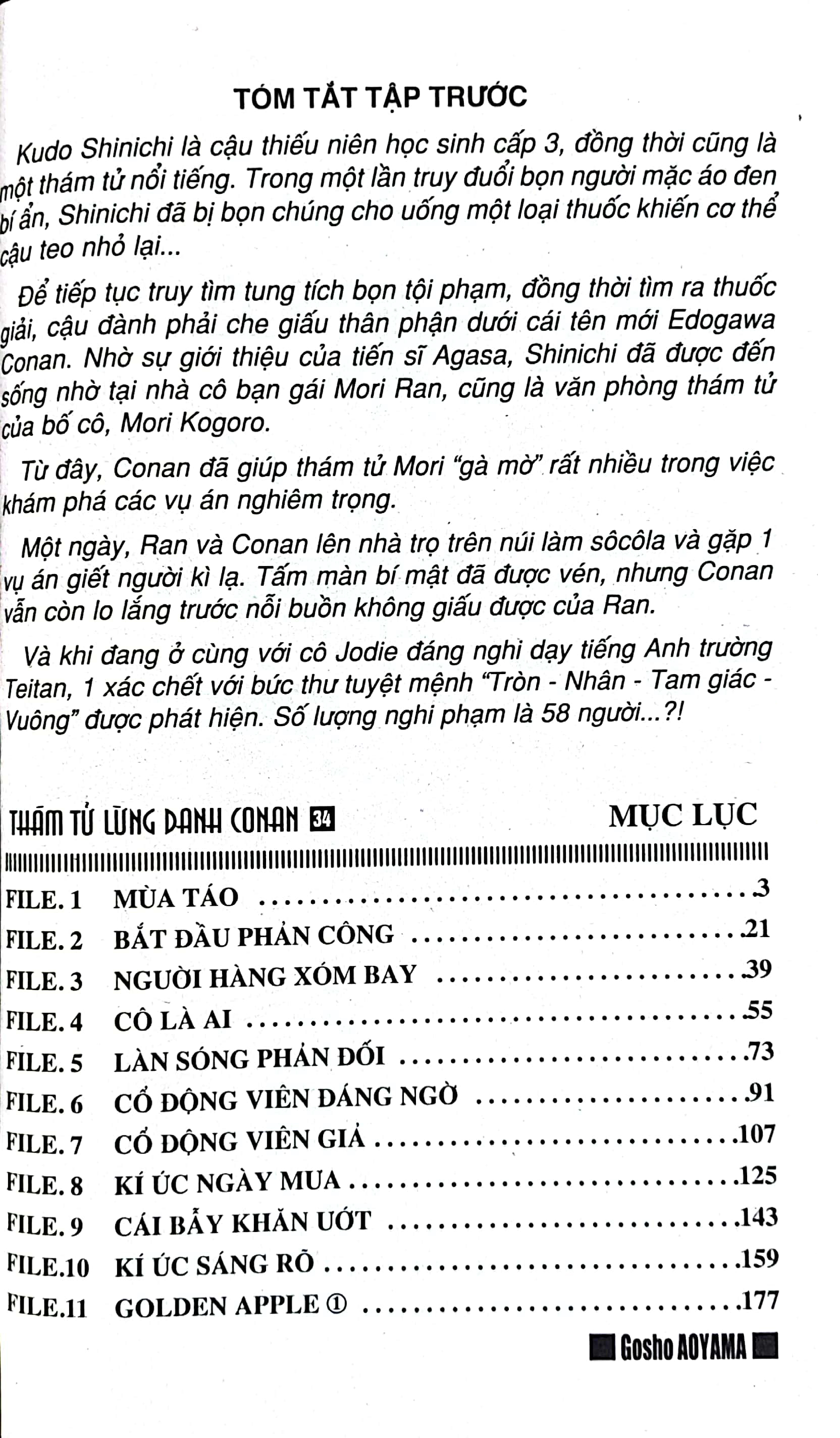 bộ thám tử lừng danh conan - tập 34 (tái bản 2023)