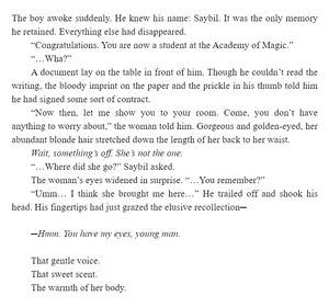 bộ the dawn of the witch 1 (light novel): the remedial student and the witch of the staff