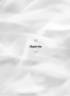 bộ the dawn of the witch 2 (light novel): the mama merchant and a premonition of love