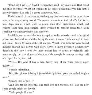 bộ the dawn of the witch 2 (light novel): the mama merchant and a premonition of love