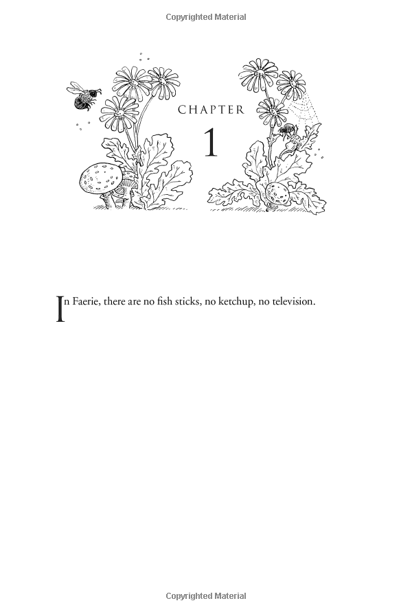 Bo
						
										
										The Folk Of The Air 1: The Cruel Prince