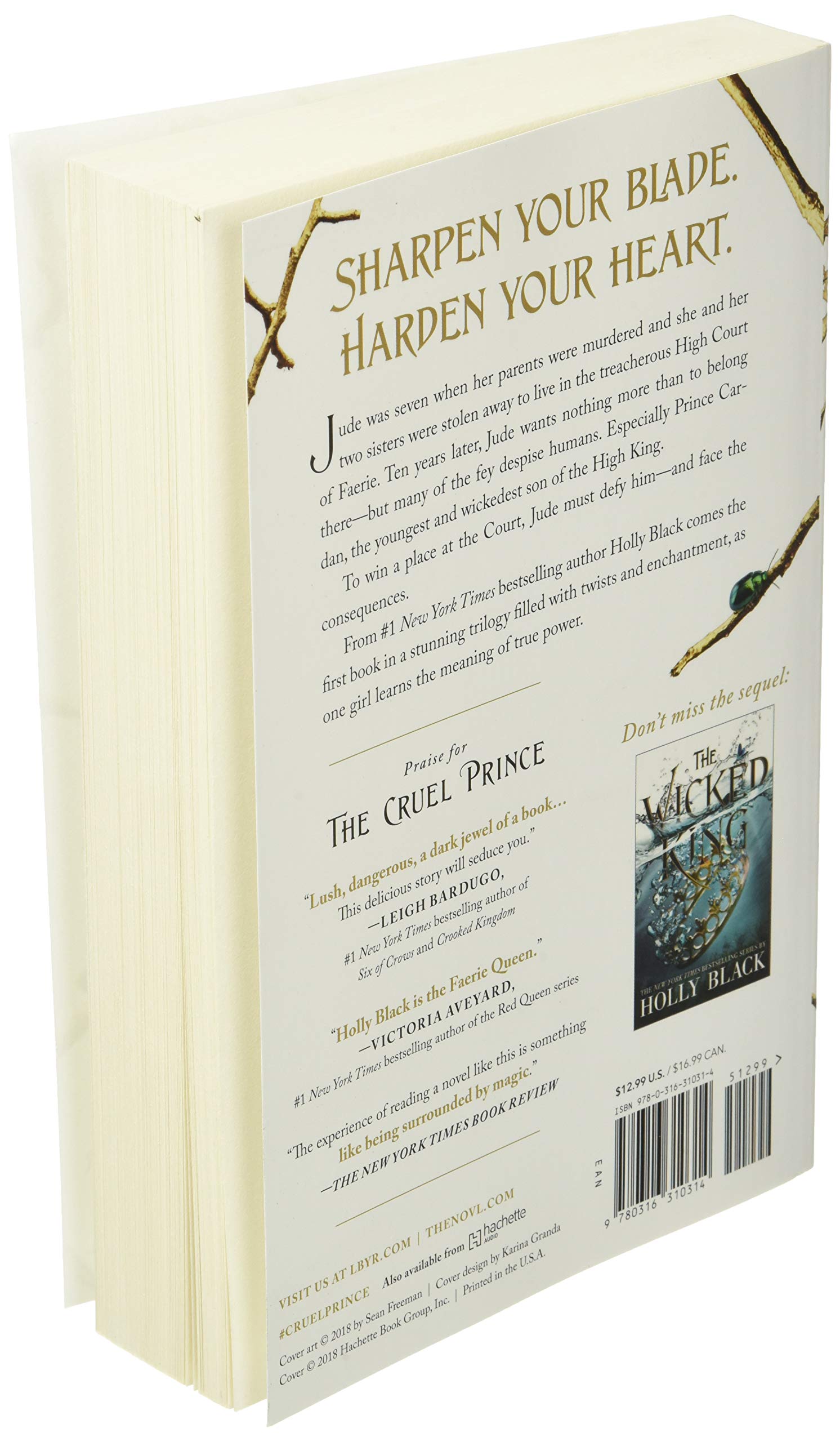 Bo
						
										
										The Folk Of The Air 1: The Cruel Prince