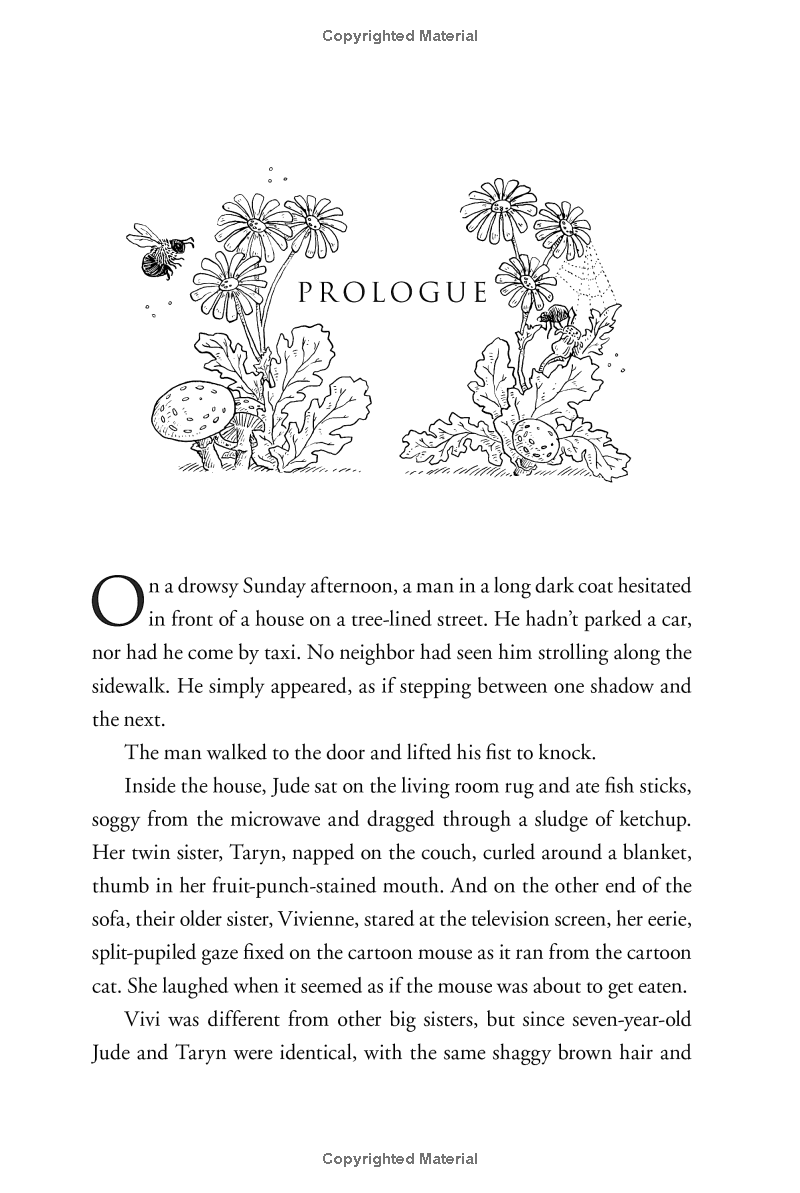 Bo
						
										
										The Folk Of The Air 1: The Cruel Prince