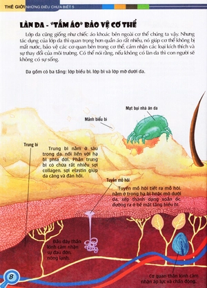 bộ thế giới những điều chưa biết (tập 5) - cơ thể người