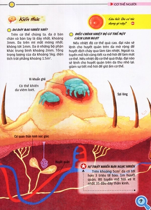 bộ thế giới những điều chưa biết (tập 5) - cơ thể người