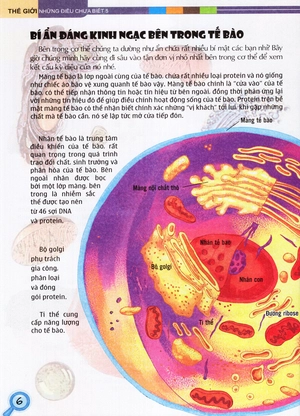 bộ thế giới những điều chưa biết (tập 5) - cơ thể người