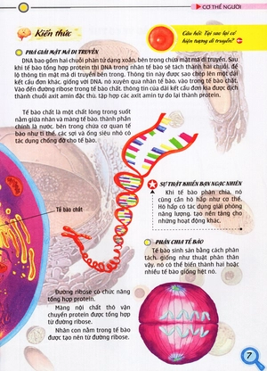 bộ thế giới những điều chưa biết (tập 5) - cơ thể người