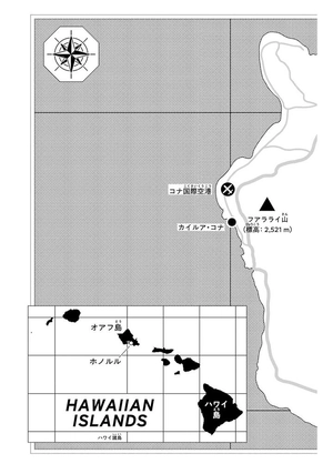 bộ the jojolands 2