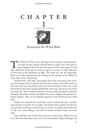 bộ the wheel of time 14: a memory of light