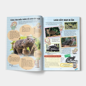 bộ the young scientist - truyện tranh khoa học cho trẻ em - level 1 - tập 2: mùi bắp rang thơm lừng trong rừng